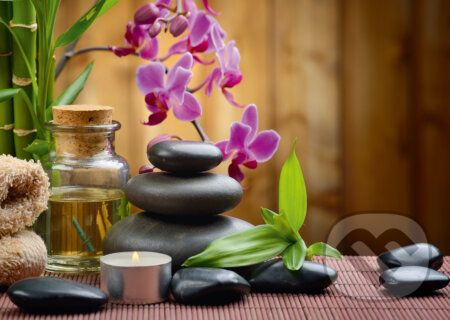 Puzzle: Zen (Alipson Puzzle). Alipson Puzzle Puzzle: Zen (Alipson Puzzle). Alipson Puzzle