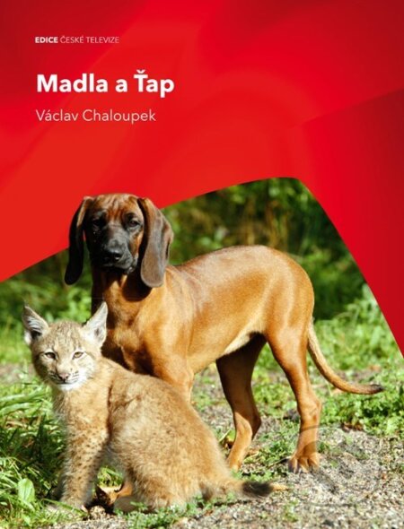 Kniha: Madla a Ťap (Václav Chaloupek). Edice ČT, 2009 Kniha: Madla a Ťap (Václav Chaloupek). Edice ČT, 2009