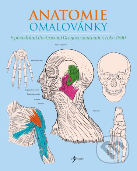 Kniha: Anatomie omalovánky (Henry Carter a Henry Gray). Esence, 2024 Kniha: Anatomie omalovánky (Henry Carter a Henry Gray). Esence, 2024