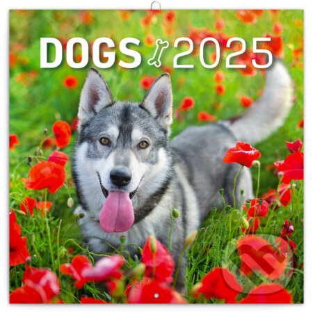 Nástenný poznámkový kalendár Dogs (Psy) 2025, Notique, 2024