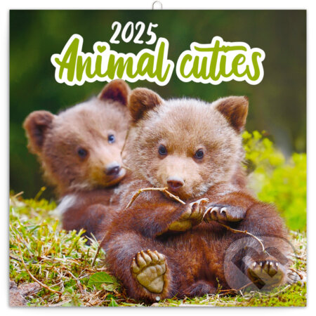 NOTIQUE Nástenný poznámkový kalendár Animails cuties (Mláďatá) 2025 (Notique). Notique, 2024 NOTIQUE Nástenný poznámkový kalendár Animails cuties (Mláďatá) 2025 (Notique). Notique, 2024