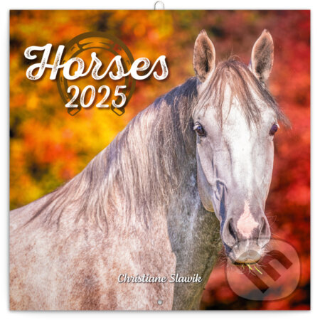 NOTIQUE Nástenný poznámkový kalendár Horses (Kone) 2025 (Notique). Notique, 2024 NOTIQUE Nástenný poznámkový kalendár Horses (Kone) 2025 (Notique). Notique, 2024