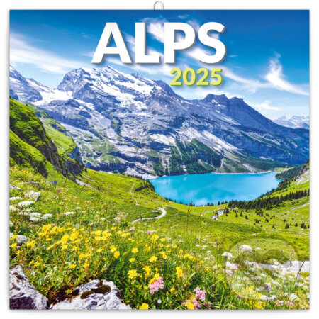 Nástenný poznámkový kalendár Alps (Alpy) 2025, Notique, 2024