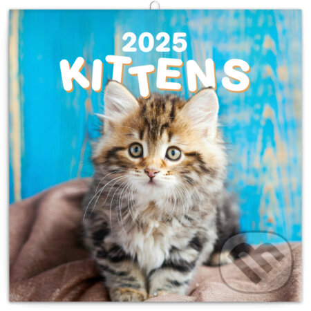 NOTIQUE Nástenný poznámkový kalendár Kittens (Mačiatka) 2025 (Notique). Notique, 2024 NOTIQUE Nástenný poznámkový kalendár Kittens (Mačiatka) 2025 (Notique). Notique, 2024