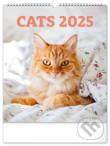 Nástenný kalendár Mačky 2025, 30 × 34 cm, Notique, 2024