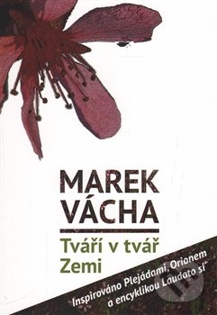 Tváří v tvář Zemi - Marek Vácha, Cesta, 2016