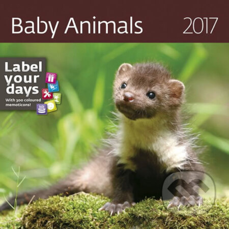 Kalendář nástěnný 2017 - Baby Animals, Helma, 2016