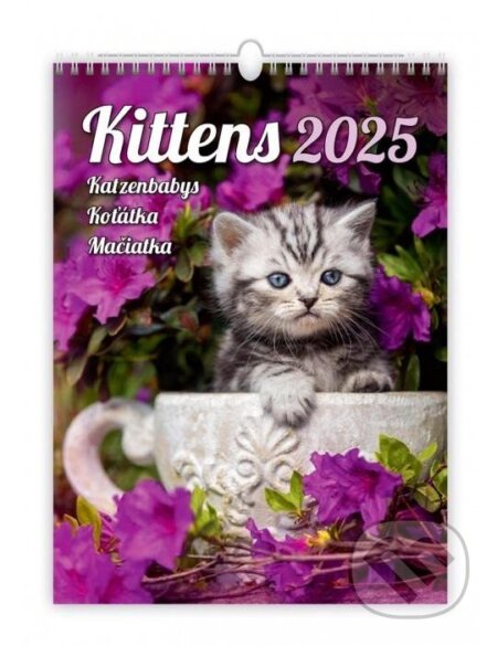 Nástěnný kalendář Koťátka 2025 (Helma). Helma, 2024 Nástěnný kalendář Koťátka 2025 (Helma). Helma, 2024