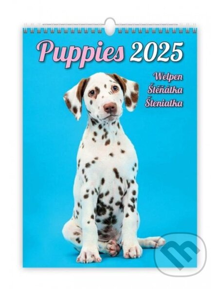 Štěňátka 2025 - nástěnný kalendář (Helma). Helma, 2024 Štěňátka 2025 - nástěnný kalendář (Helma). Helma, 2024