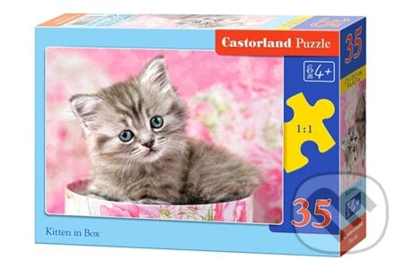 Kitten in Box, Castorland, 2016