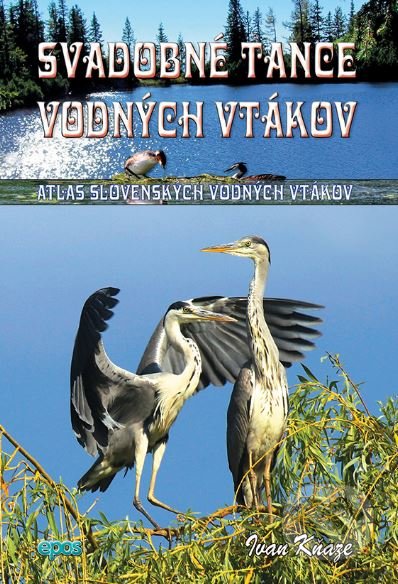 Kniha: Svadobné tance vodných vtákov (Ivan Kňaze). Epos, 2016 Kniha: Svadobné tance vodných vtákov (Ivan Kňaze). Epos, 2016