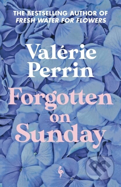 Kniha: Forgotten on Sunday (Valérie Perrin). Europa Editions, 2024 Kniha: Forgotten on Sunday (Valérie Perrin). Europa Editions, 2024