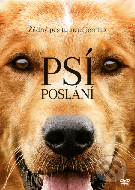 Film: Psí poslání (Lasse Hallström) (DVD). Magicbox, 2017 Film: Psí poslání (Lasse Hallström) (DVD). Magicbox, 2017