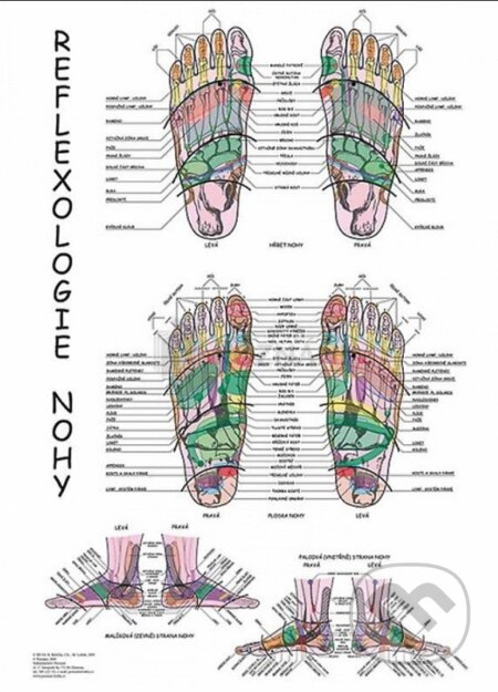 Mapa - Reflexologie nohy (Radomír Růžička). Poznání, 2019 Mapa - Reflexologie nohy (Radomír Růžička). Poznání, 2019