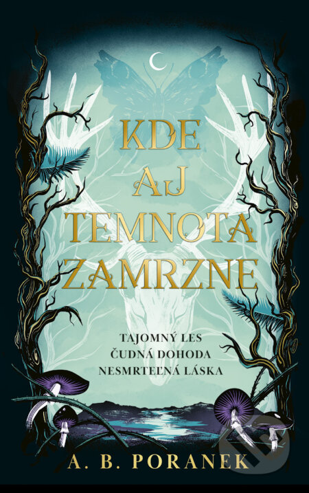 E-kniha: Kde aj temnota zamrzne (A.B. Poranek). Ikar, 2024 E-kniha: Kde aj temnota zamrzne (A.B. Poranek). Ikar, 2024