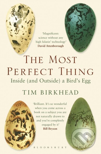 Kniha: The Most Perfect Thing (Tim Birkhead). Bloomsbury, 2017 Kniha: The Most Perfect Thing (Tim Birkhead). Bloomsbury, 2017