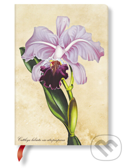 Paperblanks - zápisník Brazilian Orchid (Paperblanks). Paperblanks, 2017 Paperblanks - zápisník Brazilian Orchid (Paperblanks). Paperblanks, 2017