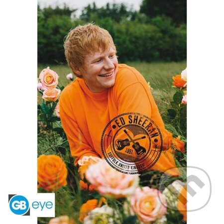Ed Sheeran Plagát Maxi: Rose Field (GB Eye Limited). GB Eye Limited, 2024 Ed Sheeran Plagát Maxi: Rose Field (GB Eye Limited). GB Eye Limited, 2024