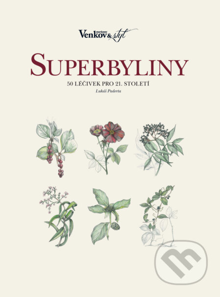 Kniha: Superbyliny (Lukáš Paderta). BURDA Media 2000, 2017 Kniha: Superbyliny (Lukáš Paderta). BURDA Media 2000, 2017