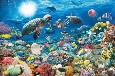 Puzzle: Morský život (Ravensburger). Ravensburger, 2017 Puzzle: Morský život (Ravensburger). Ravensburger, 2017