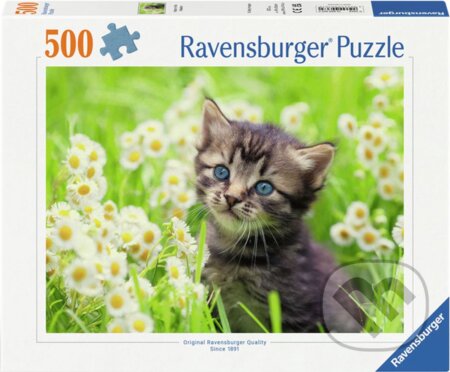 Puzzle: Kotě na louce (Ravensburger). Ravensburger, 2024 Puzzle: Kotě na louce (Ravensburger). Ravensburger, 2024