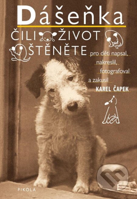 Kniha: Dášeňka čili život štěněte (Karel Čapek). Pikola, 2025 Kniha: Dášeňka čili život štěněte (Karel Čapek). Pikola, 2025