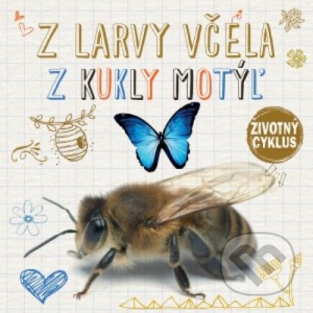 Kniha: Životný cyklus – Z larvy včela, z kukly motýľ (Svojtka&Co.). Svojtka&Co., 2017 Kniha: Životný cyklus – Z larvy včela, z kukly motýľ (Svojtka&Co.). Svojtka&Co., 2017