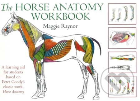 Kniha: Horse Anatomy Workbook (Maggie Raynor). , 2006 Kniha: Horse Anatomy Workbook (Maggie Raynor). , 2006