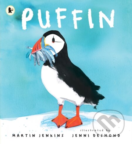 Kniha: Puffin (Martin Jenkins). Walker books, 2023 Kniha: Puffin (Martin Jenkins). Walker books, 2023