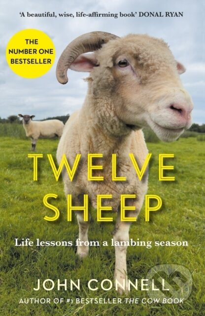 Kniha: Twelve Sheep (John Connell). Atlantic Books, 2024 Kniha: Twelve Sheep (John Connell). Atlantic Books, 2024