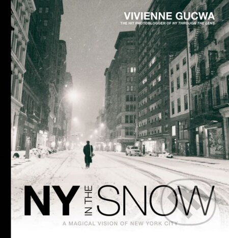 New York In The Snow - Vivienne Gucwa, Ilex, 2017
