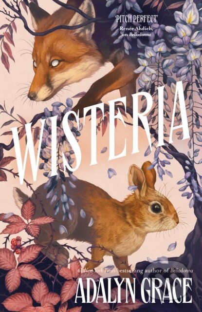 Kniha: Wisteria (Adalyn Grace). Hodderscape, 2024 Kniha: Wisteria (Adalyn Grace). Hodderscape, 2024
