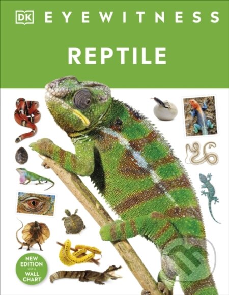 Kniha: Reptile (Colin McCarthy). Dorling Kindersley Children, 2023 Kniha: Reptile (Colin McCarthy). Dorling Kindersley Children, 2023