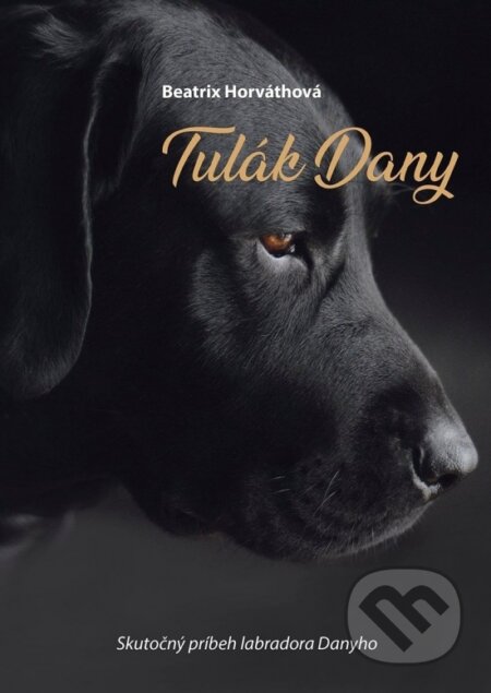 Kniha: Tulák Dany (Beatrix Horváthová). Elist, 2025 Kniha: Tulák Dany (Beatrix Horváthová). Elist, 2025