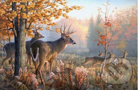 Diamantové malování Jeleni v ranní mlze (Norimpex). Norimpex, 2025 Diamantové malování Jeleni v ranní mlze (Norimpex). Norimpex, 2025
