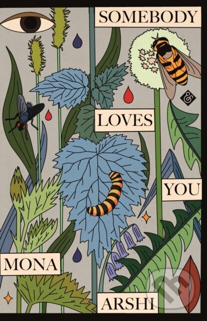 Kniha: Somebody Loves You (Mona Arshi). And Other Stories, 2021 Kniha: Somebody Loves You (Mona Arshi). And Other Stories, 2021