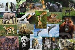 Divoké zvieratá sveta, Jumbo