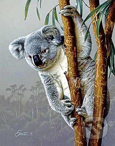 Puzzle: Mladá koala (Wrebbit - MB). Wrebbit - MB Puzzle: Mladá koala (Wrebbit - MB). Wrebbit - MB