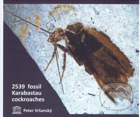 Kniha: Late Mesozoic cockroaches s.l. from the Karabastau Formation in Kazakhstan (Peter Vršanský). AMBA, 2024 Kniha: Late Mesozoic cockroaches s.l. from the Karabastau Formation in Kazakhstan (Peter Vršanský). AMBA, 2024