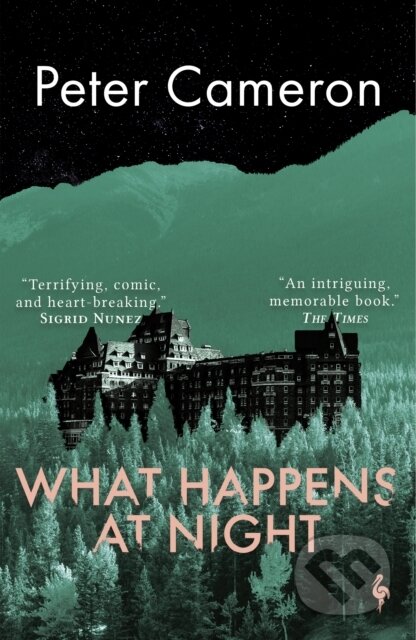 Kniha: What Happens at Night (Peter Cameron). Europa Editions, 2022 Kniha: What Happens at Night (Peter Cameron). Europa Editions, 2022
