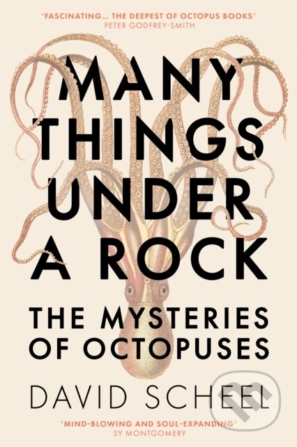 Kniha: Many Things Under a Rock (David Scheel). Hodder and Stoughton, 2023 Kniha: Many Things Under a Rock (David Scheel). Hodder and Stoughton, 2023