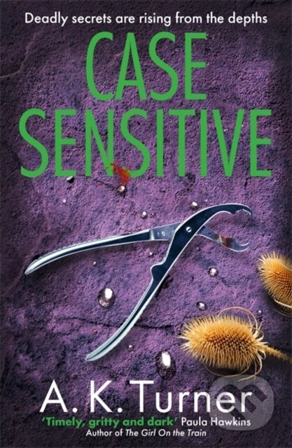 Kniha: Case Sensitive (Turner A. K.). Zaffre, 2023 Kniha: Case Sensitive (Turner A. K.). Zaffre, 2023
