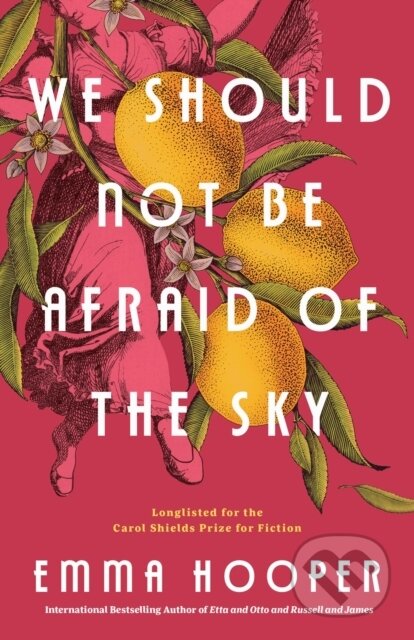 Kniha: We Should Not Be Afraid of the Sky (Emma Hooper). Prentice Hall, 2023 Kniha: We Should Not Be Afraid of the Sky (Emma Hooper). Prentice Hall, 2023