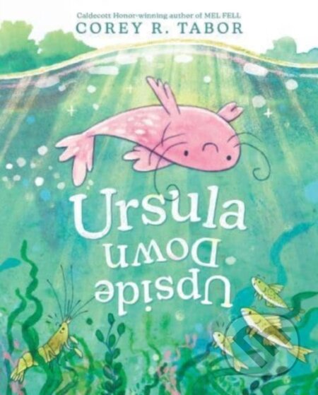 Kniha: Ursula Upside Down (Corey R. Tabor). Greenwillow Books, 2024 Kniha: Ursula Upside Down (Corey R. Tabor). Greenwillow Books, 2024