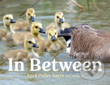 Kniha: In Between (April Pulley Sayre). Beach Lane, 2023 Kniha: In Between (April Pulley Sayre). Beach Lane, 2023