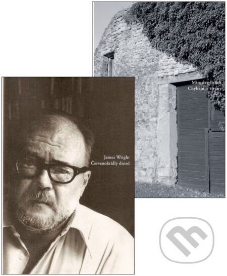 Kniha: Chýbajúce strany + darček zadarmo (Miroslav Brück). Skalná ruža Kniha: Chýbajúce strany + darček zadarmo (Miroslav Brück). Skalná ruža