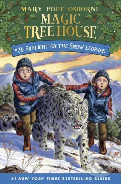Kniha: Sunlight on the Snow Leopard (A.G. Ford a Mary Pope Osborne). , 2022 Kniha: Sunlight on the Snow Leopard (A.G. Ford a Mary Pope Osborne). , 2022