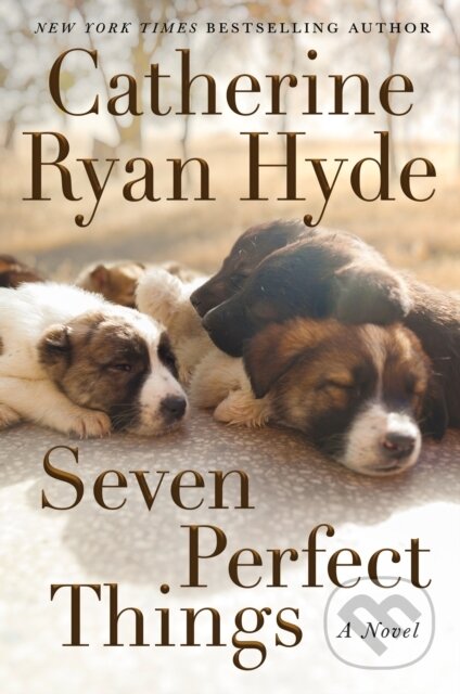 Kniha: Seven Perfect Things (Catherine Ryan Hyde). Lake Union Publishing, 2021 Kniha: Seven Perfect Things (Catherine Ryan Hyde). Lake Union Publishing, 2021