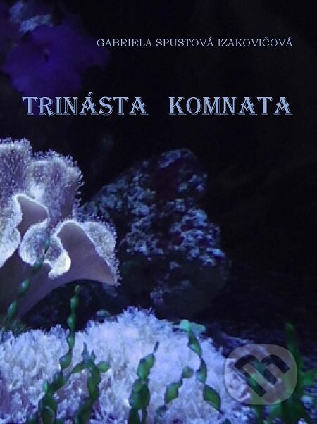 E-kniha: Trinásta komnata (Gabriela Spustová Izakovičová). RUAH, 2020 E-kniha: Trinásta komnata (Gabriela Spustová Izakovičová). RUAH, 2020