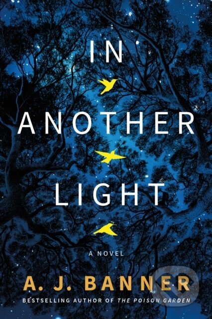 Kniha: In Another Light (A. J. Banner). Lake Union Publishing, 2021 Kniha: In Another Light (A. J. Banner). Lake Union Publishing, 2021